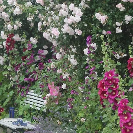 Kuestenhaus * Pommerby (Gelting)